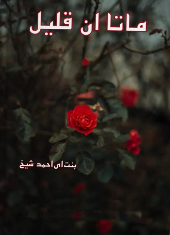 Mata e Qaleel by Bint e Ahmed Shaikh Urdu Novel PDF