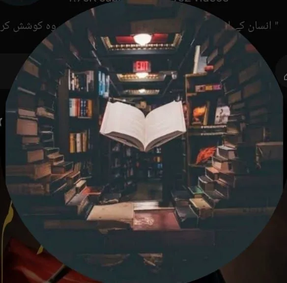 Tooba Mir — Urdu novelist